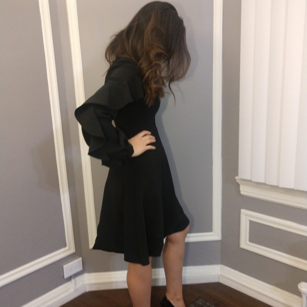 Christian Siriano Dress